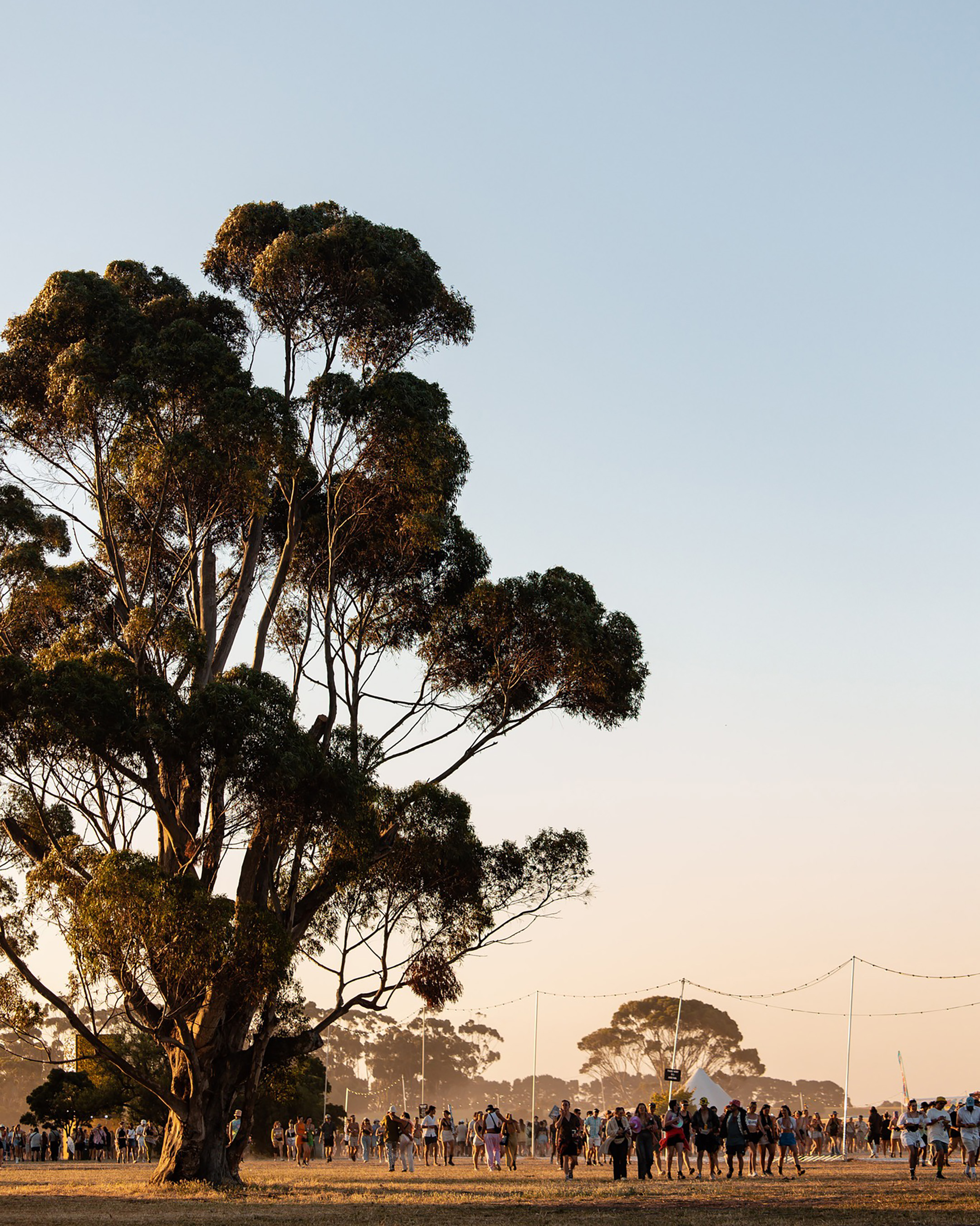 Barunah Plains, photo by Beyond The Valley