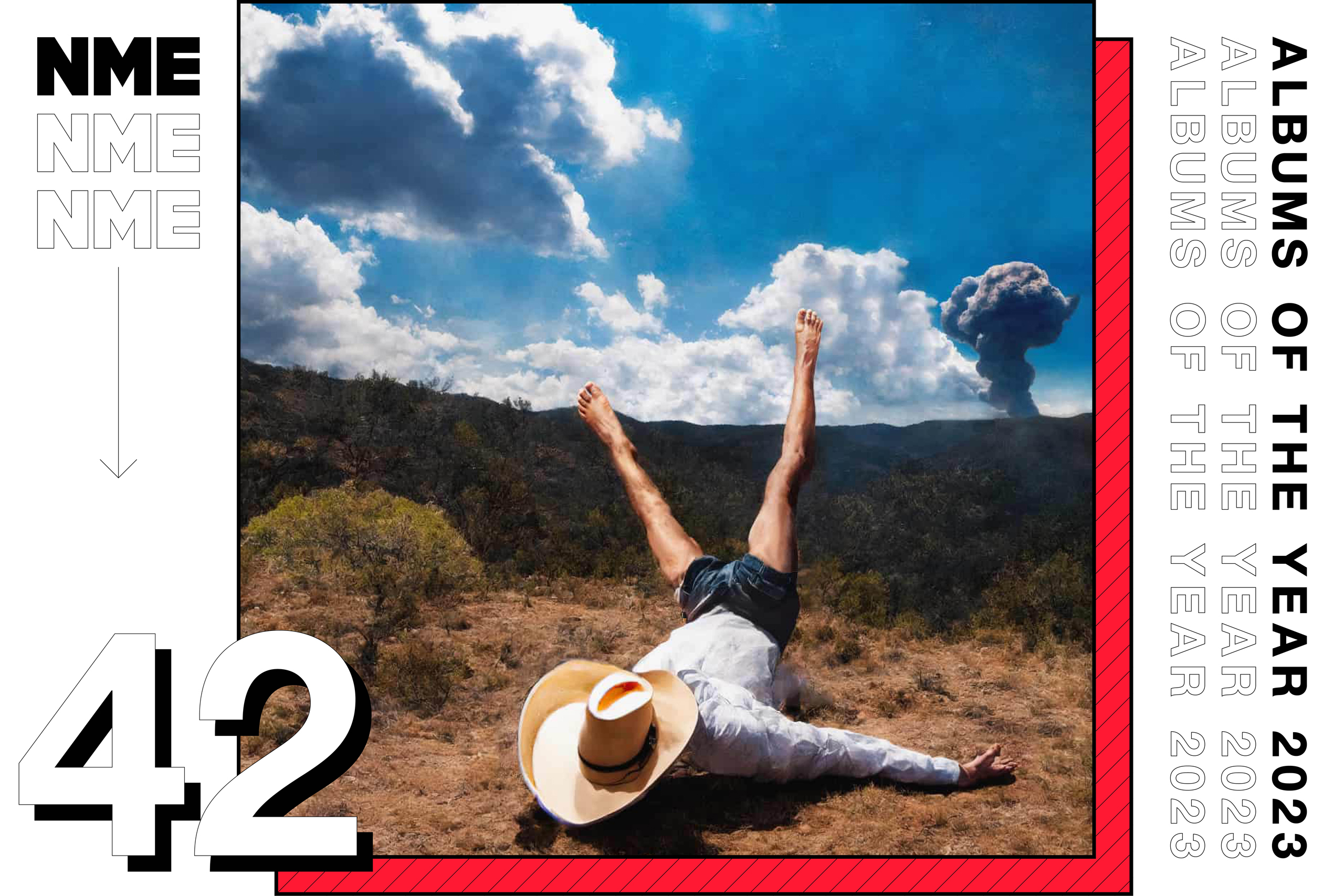 Geese – 3D Country