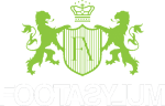 Footasylum logo